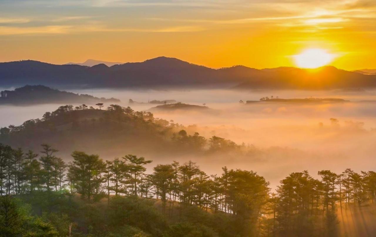 Jolie House Villa Dalat Bagian luar foto